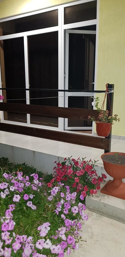 Гостевой дом Lana Пицунда