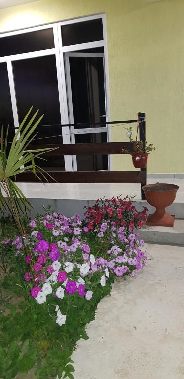 Гостевой дом Lana Пицунда