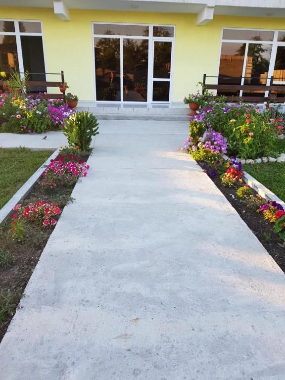 Гостевой дом Lana Пицунда