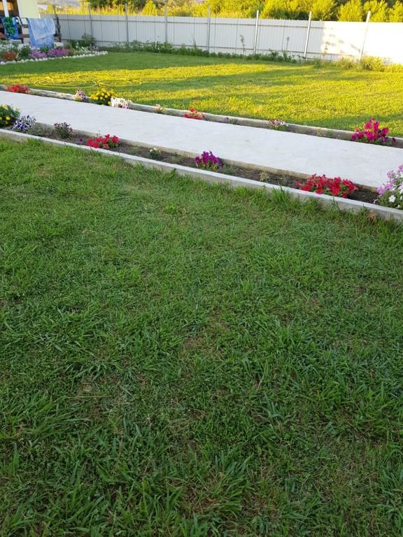 Гостевой дом Lana Пицунда